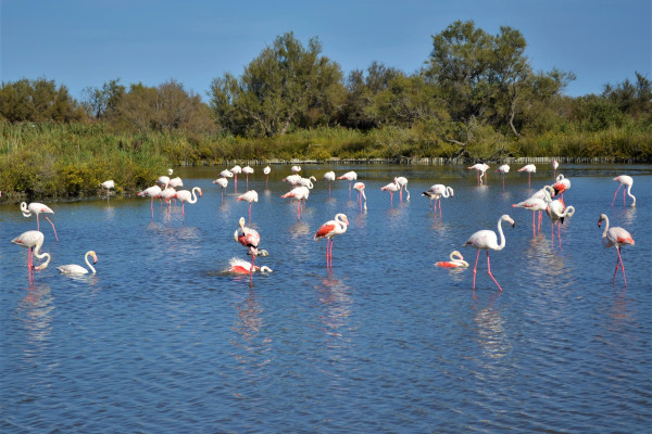 BirdWatching Valencia