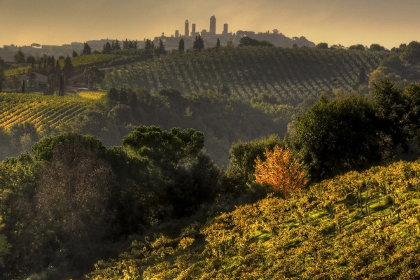 Sunset San Gimignano