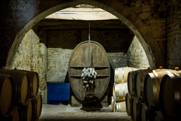 The cellars dedicated to the white wines
