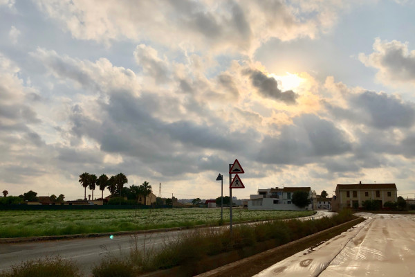 Northern farmland with tigernut (chufa) fields