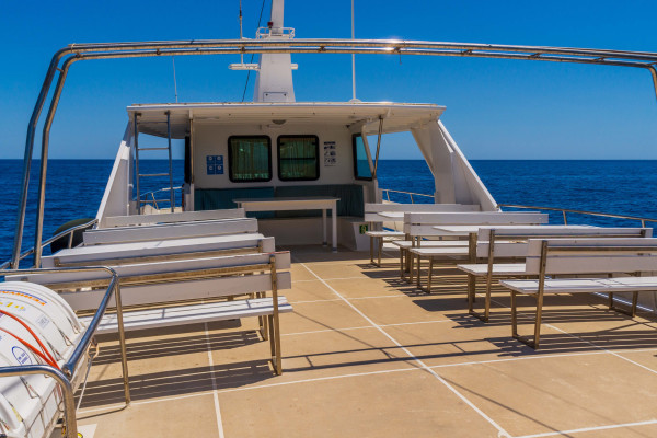 outdoor stall - upper deck