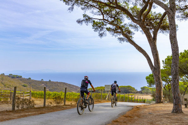Tenuta delle Ripalte
