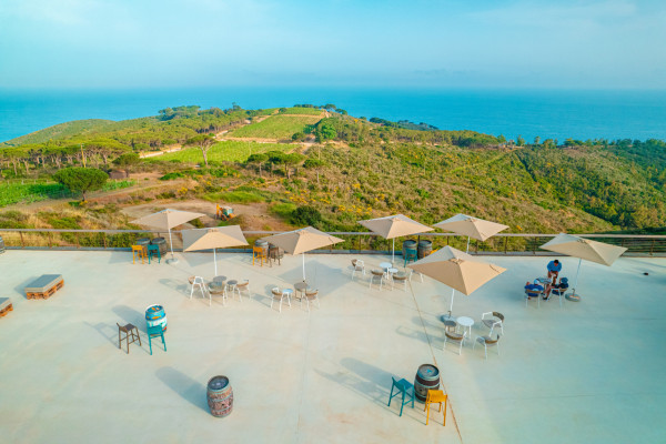 Reserved place on a terrace overlooking the sea and the vineyard