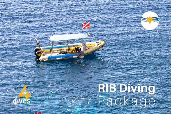 Low Season Rib Diving | 4 Guided Dives Package