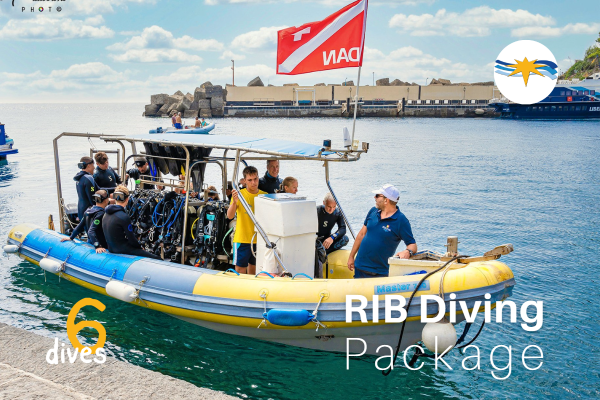Low Season Rib Diving | 6 Guided Dives Package