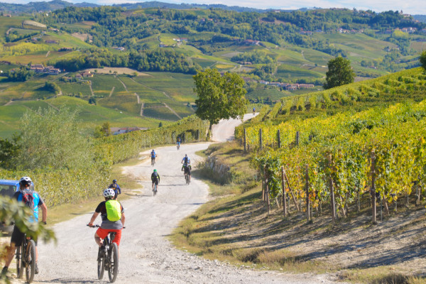 Barolo roads