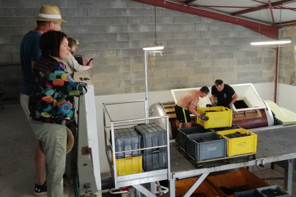 Loading of the press