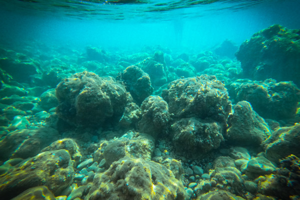 The fantastic clear waters at St Paul's Island that are waiting for your swim!