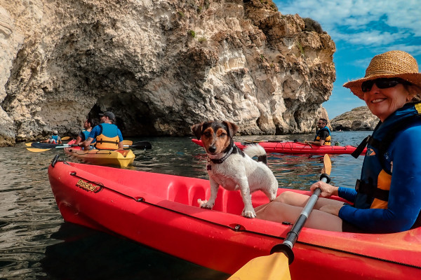 A four legged friend cheering up the crew & guests.