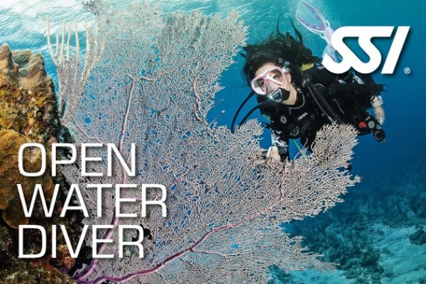 OPEN WATER DIVER CERTIFICATE