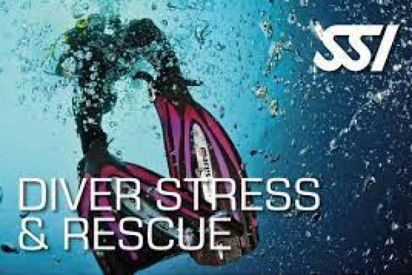 SSI SPECIALITY STRESS & RESCUE CERTIFICATE
