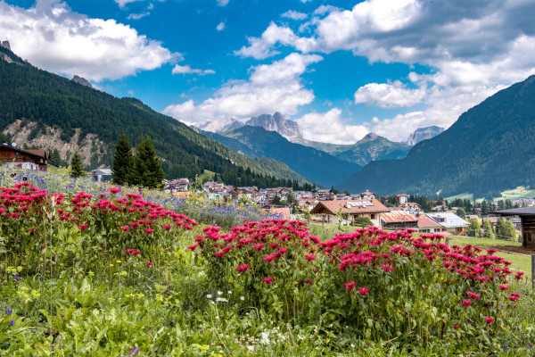 Vigo Trek - Get ready for a mountain excursion
Archivio Azienda per il Turismo della Val di Fassa