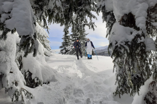 Snowshoeing in Alpe Cimbra