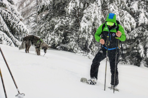 Snowshoeing in Trentino