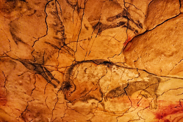Altamira Museum