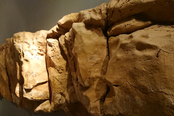 Altamira museum
