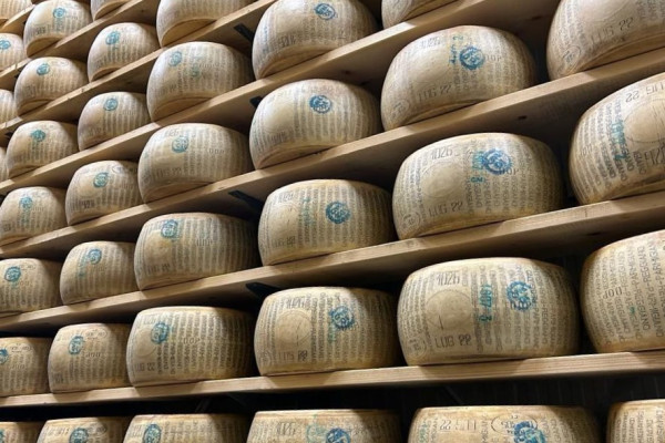 Parmigiano reggiano
