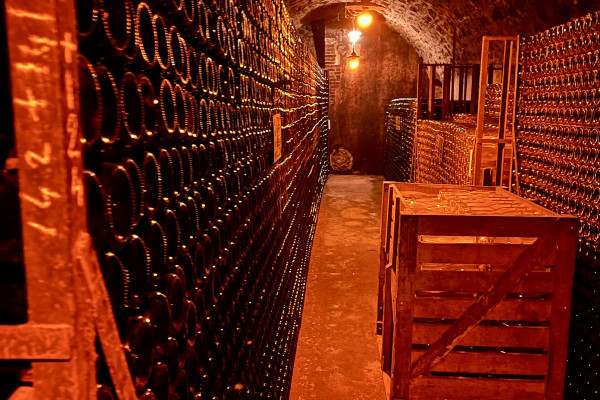 cellar of independent wine maker 