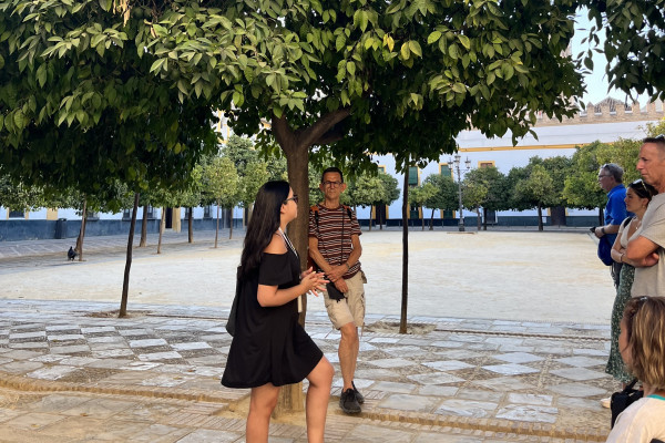 Private guided tour in Seville
