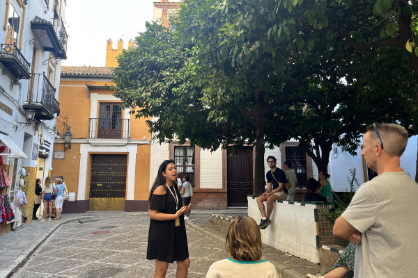 Private guided tour in Seville