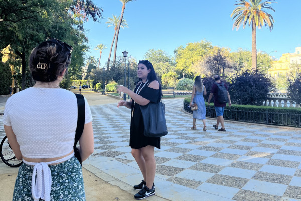 Private guided tour in Seville