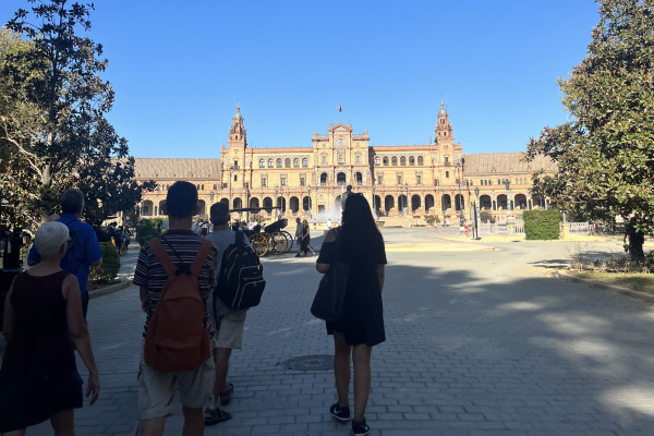 Private guided tour in Seville