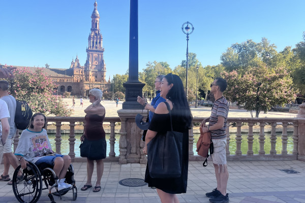 Private guided tour in Seville