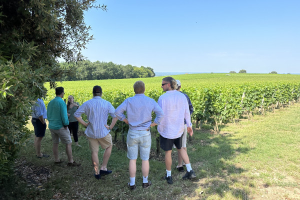 In the vines