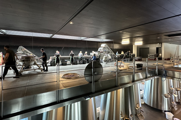 Sorting the harvest at Chateau Pedesclaux