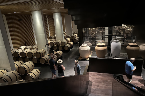 Visit at Chateau Pedesclaux