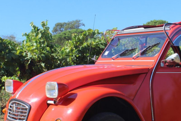 Discover the vineyards and villages of the Gulf of Saint-Tropez by vintage car