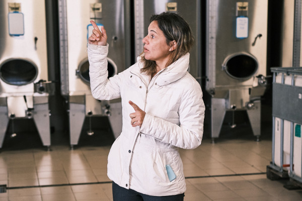 Christine in the middle of her explanation in the press center.