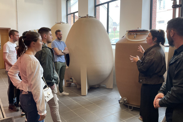 A group of colleagues captivated by the vinification's secrets.