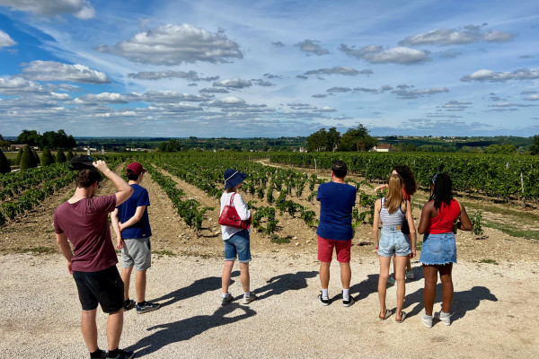 A group of visitors at the feet of the vines during a tour at Château Balestard La Tonnelle
