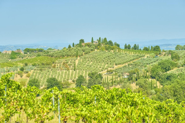 TUSCANY IN A DAY TOUR