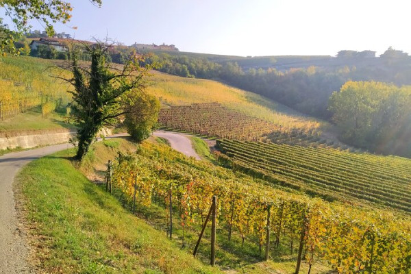 Hills