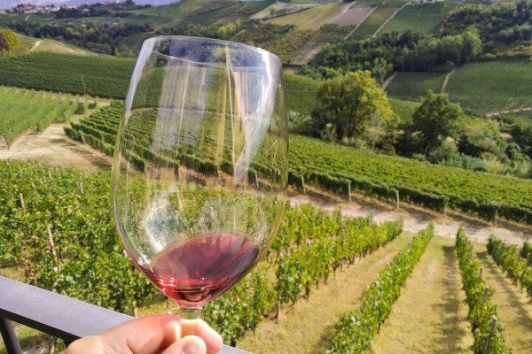Glass of wine