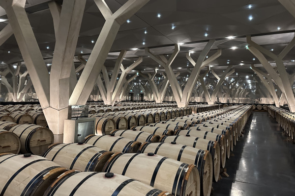 The aging room of Chateau Talbot