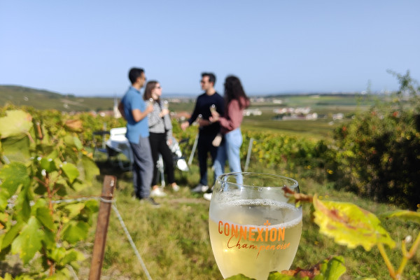 Picnic tasting in the vineyard, a cut in photo foreground and four person cuts hands tasted in the vineyards.