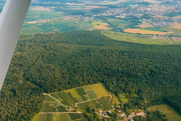 Overflight of the mountain of Reims seen on the forest and vineyards and villages