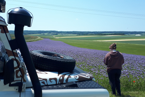 Defender en premier plan sur la gauche et en deuxième plan une personne observe un champ de fleur violettes  