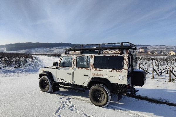 Defender on the snowy vineyard path