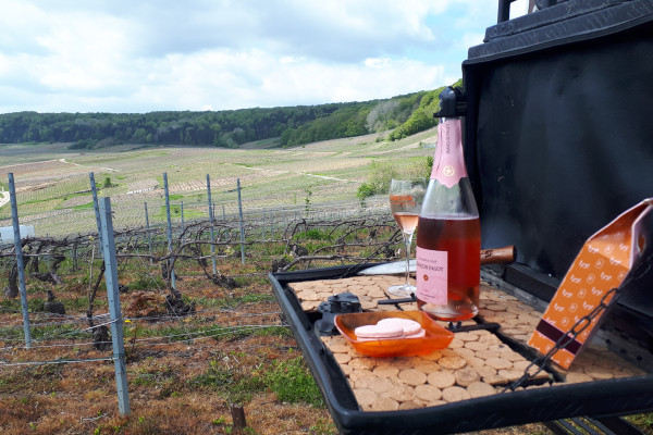 The rosé champagne is served at the bar of the vehicle that is in the vineyards, it is the autumn season, there are no more leaves on the branches.