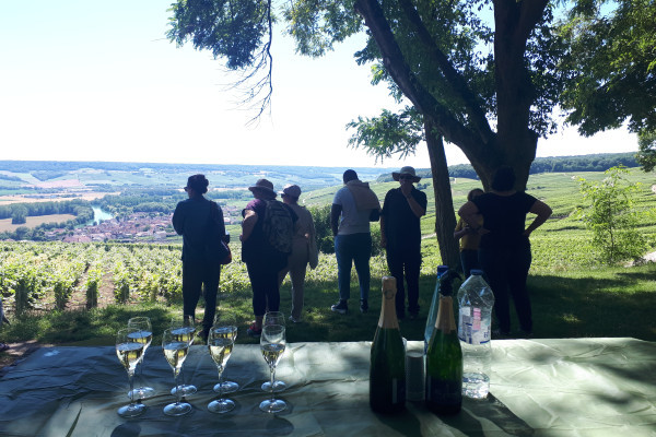 Seven people are in front of the vineyard facing the valley of the marl, the glasses of champagnes are served on the wooden table which is in the foreground. It is necessary beautiful and the scene this unfolded has labrit of the sun under the trees.
