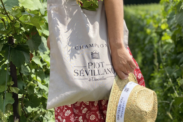 Country walk along the Marne river...