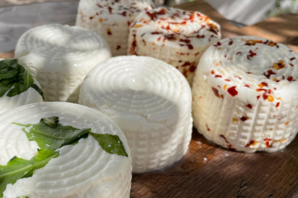 17_MOZZARELLA1