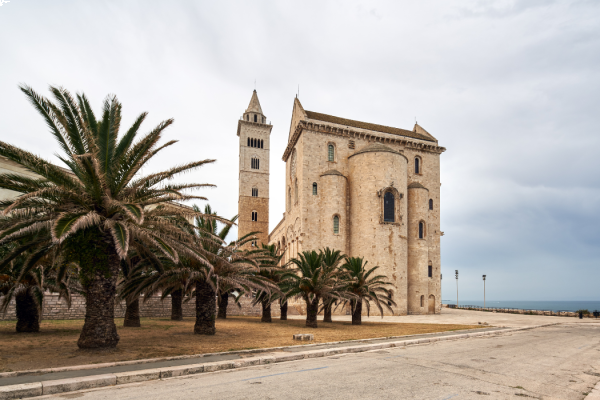 35_TRANI1