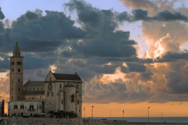 35_TRANI4
