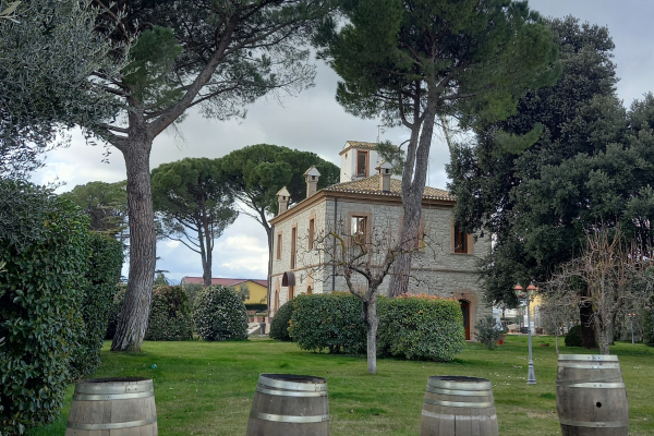 54_WINEMAN3