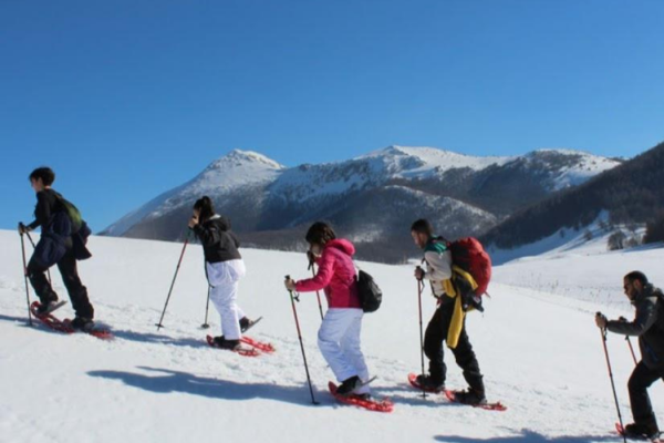 53_SNOWPOLLINO1